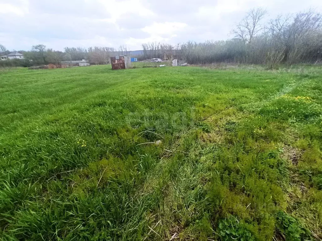 Участок в Белгородская область, Валуйский муниципальный округ, ... - Фото 2