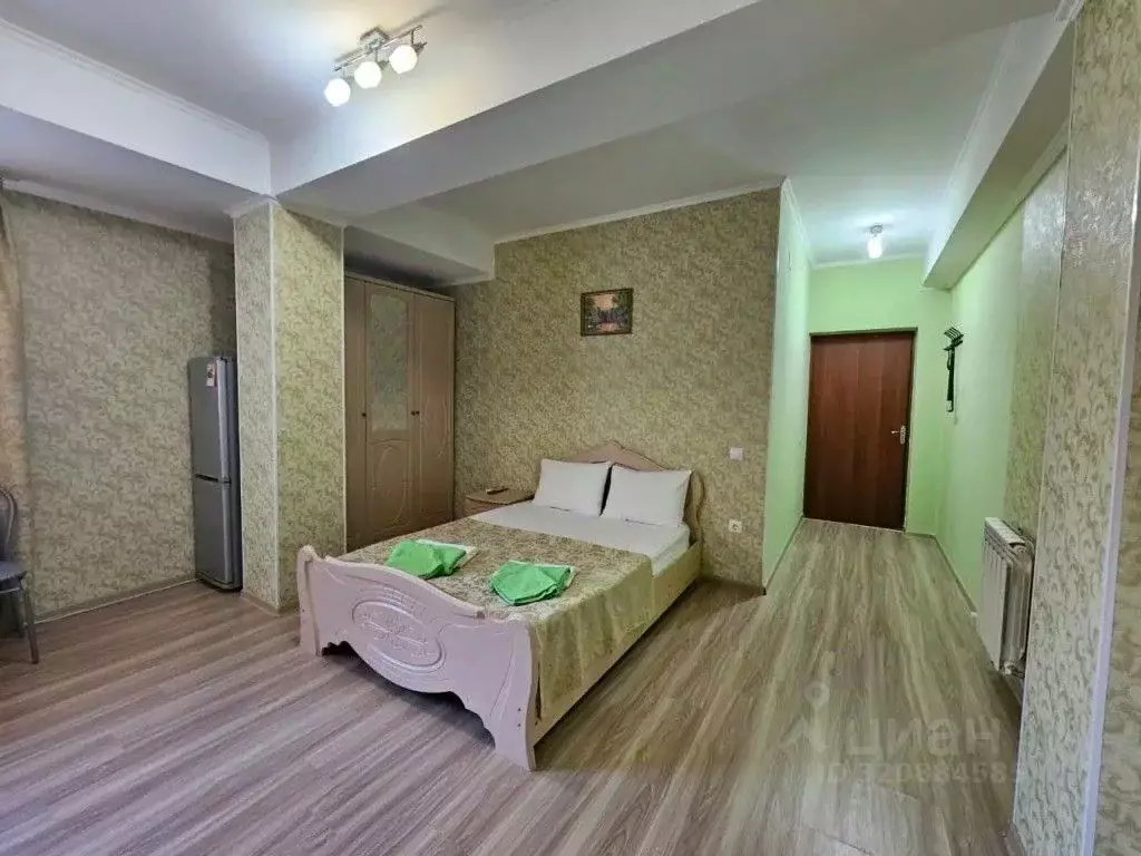 1-к кв. Краснодарский край, Сочи ул. Ленина, 42А (30.0 м) - Фото 1