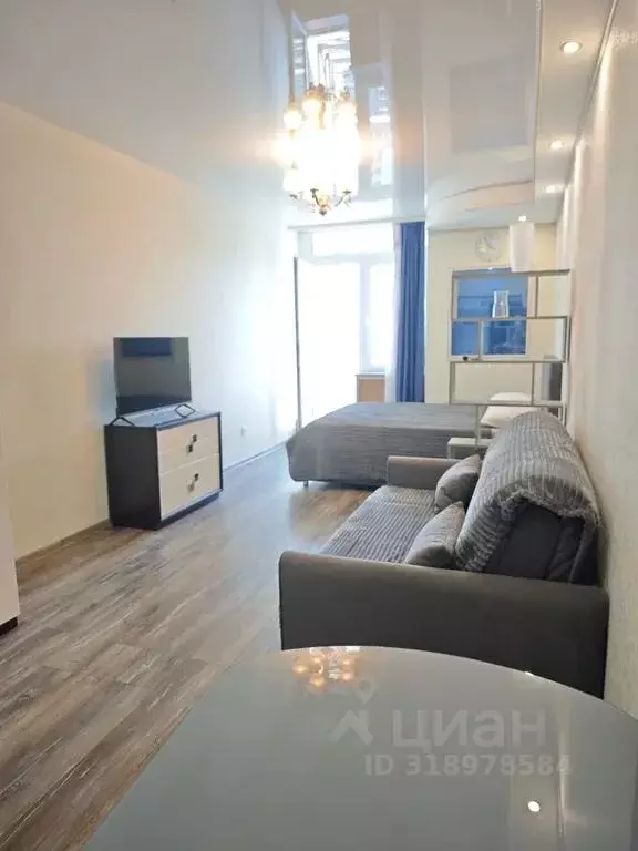 Студия Краснодарский край, Сочи ул. Ленина, 298б (30.0 м) - Фото 1
