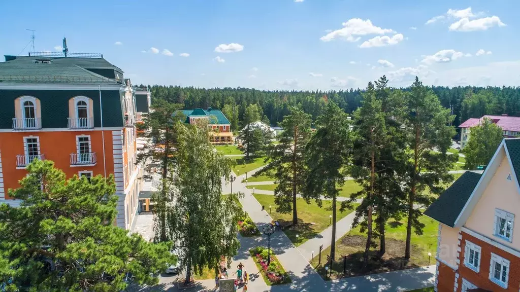 Помещение свободного назначения в Челябинская область, Чебаркульский ... - Фото 1