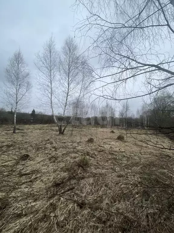 Участок в Тульская область, Тула городской округ, д. Оленино  (27.49 ... - Фото 1