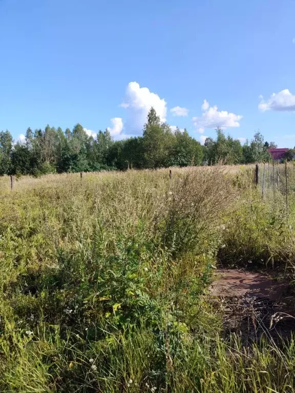 Участок в Владимирская область, Александровский район, Следневское ... - Фото 1