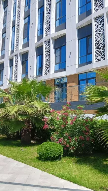 Свободной планировки кв. Краснодарский край, Сочи ул. Макаренко, 14 ... - Фото 2