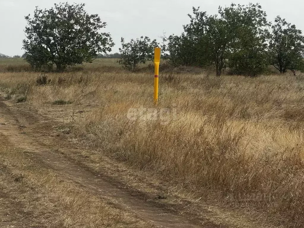 Участок в Крым, Симферопольский район, с. Широкое ул. Виноградная, 36 ... - Фото 0