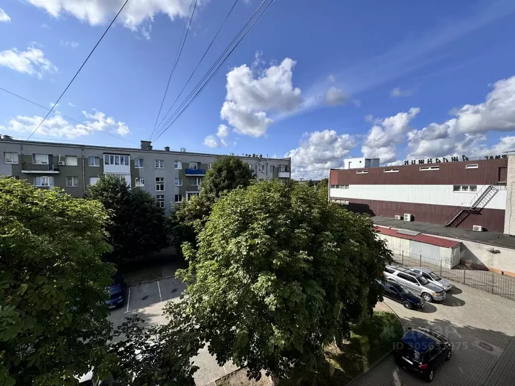 2-к кв. Калининградская область, Светлый ул. Лизы Чайкиной, 10 (47.0 ... - Фото 1