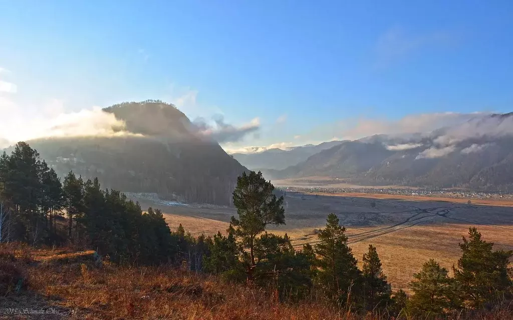 Участок в Алтай, Чемальский район, Элекмонарское с/пос, с. Элекмонар ... - Фото 1