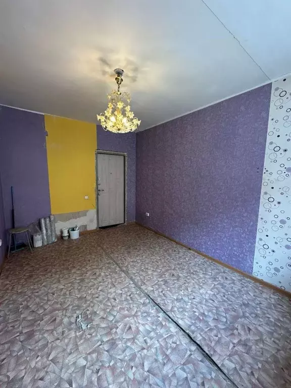 Комната Новосибирская область, Новосибирск Первомайская ул., 234 (12.5 ... - Фото 1