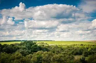 Участок в Липецкая область, Становлянский муниципальный округ, с. ... - Фото 1