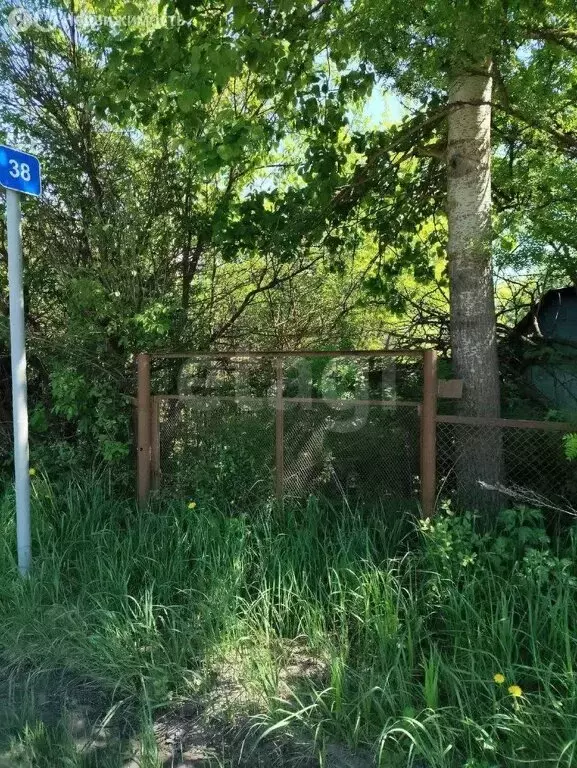 Участок в Нижегородская область, муниципальный округ Бор, деревня ... - Фото 2