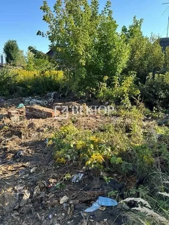 Участок в Ивановская область, Иваново ул. Матросова, 5 (4.9 сот.) - Фото 1