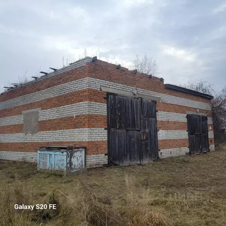 Гараж в Курганская область, Мишкино рп пер. Пушкина, 8 (80 м) - Фото 1