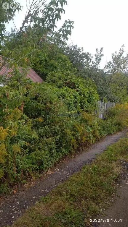 Участок в Нижний Новгород, Деловая улица, 40 (8.1 м) - Фото 2