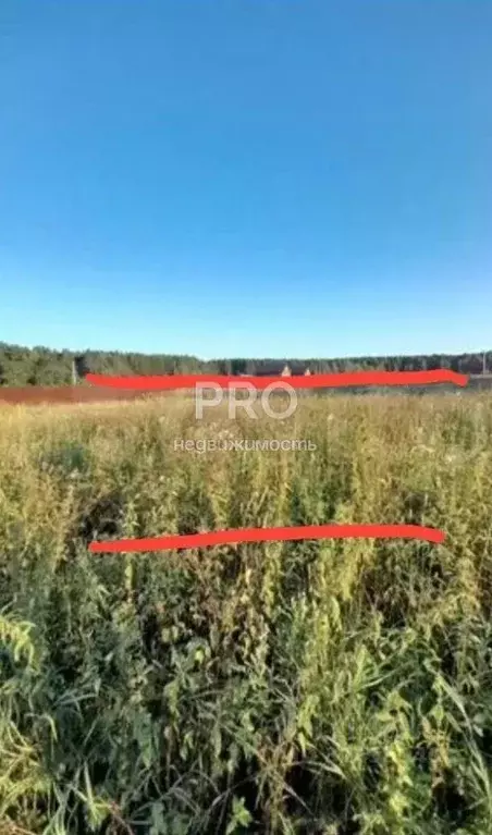 Участок в Ярославская область, Ярославский муниципальный округ, д. ... - Фото 1