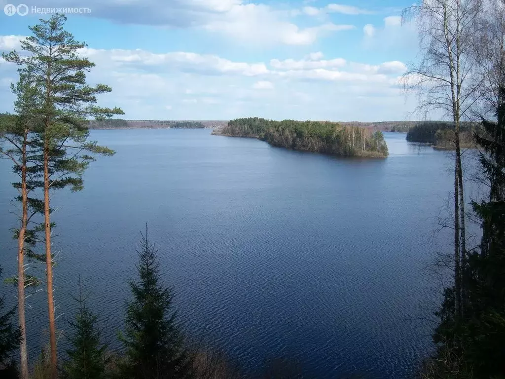 Участок в посёлок городского типа Пржевальское, улица 1 Мая, 15 (26 м) - Фото 0