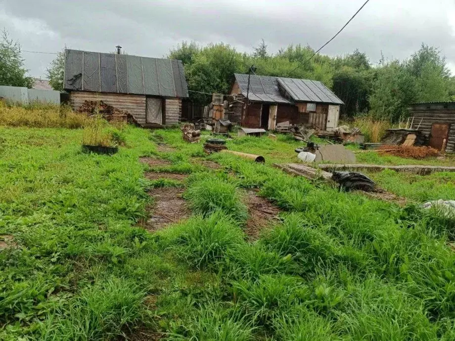 Участок в Пермский край, Березники муниципальный округ, с. Пыскор ул. ... - Фото 2