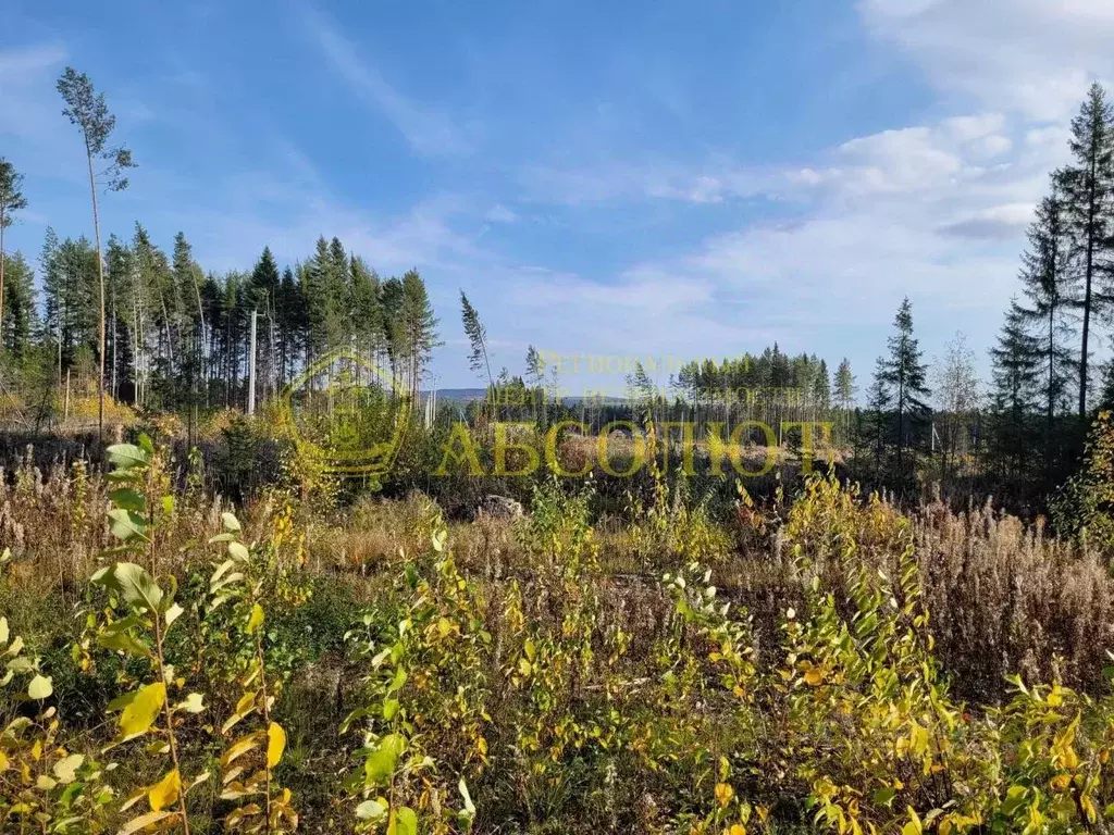 Участок в Свердловская область, Ревда ул. Тополиная (10.0 сот.) - Фото 1