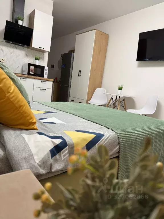 1-к кв. Московская область, Ногинск Богородский городской округ, ул. ... - Фото 1