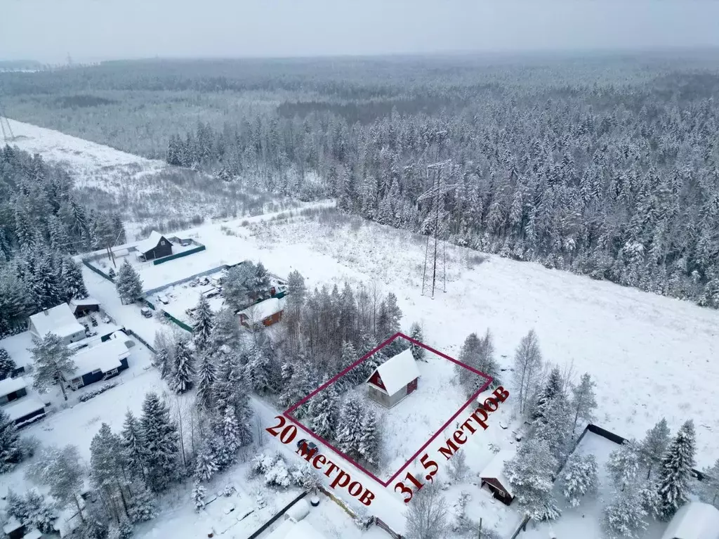 Участок в Ленинградская область, Выборгский район, Гончаровское с/пос, ... - Фото 2