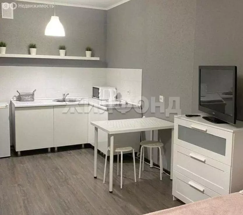 Квартира-студия: Новосибирск, улица Фадеева, 66/9 (27.7 м) - Фото 2