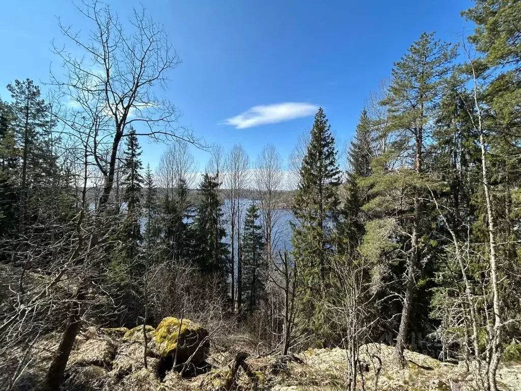 Участок в Карелия, Сортавала пл. Кирова (240.0 сот.) - Фото 1
