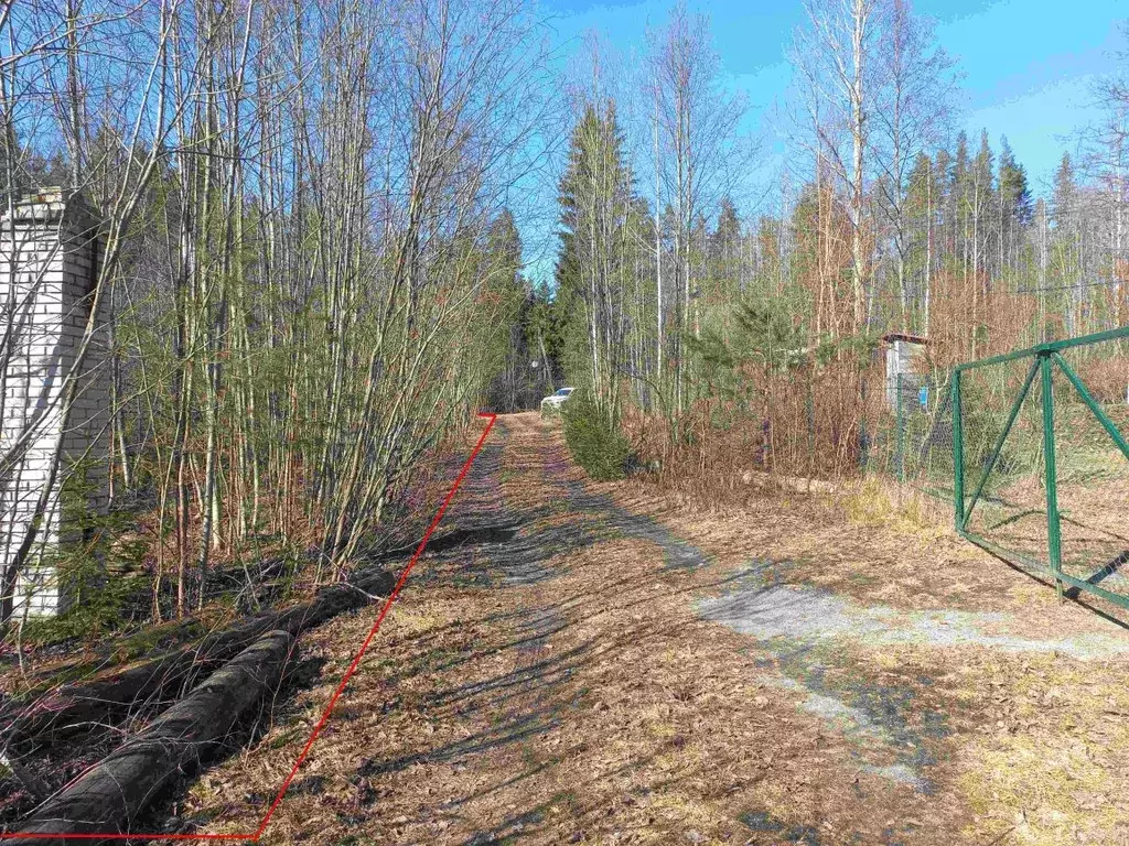 Участок в Ленинградская область, Приозерский район, Плодовское с/пос, ... - Фото 2