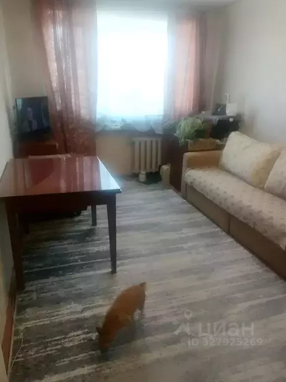 2-к кв. Курганская область, Курган ул. Куйбышева, 108 (43.5 м) - Фото 1