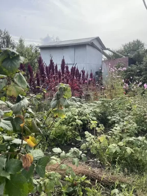 Участок в Брянская область, Брянский район, Снежское с/пос, с. ... - Фото 1