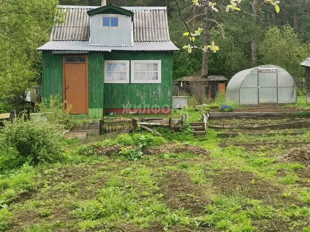 Дом в Томская область, Томск Енисейская ул. (15 м) - Фото 0