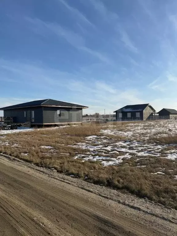 Участок в Новосибирская область, Новосибирский район, Толмачевский ... - Фото 1