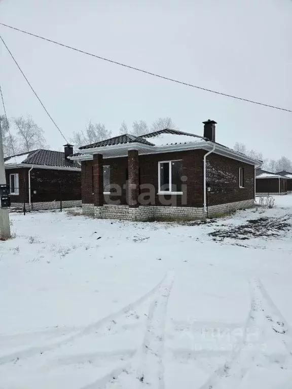 Дом в Воронежская область, с. Новая Усмань ул. Виноградная, 90 (87 м) - Фото 0
