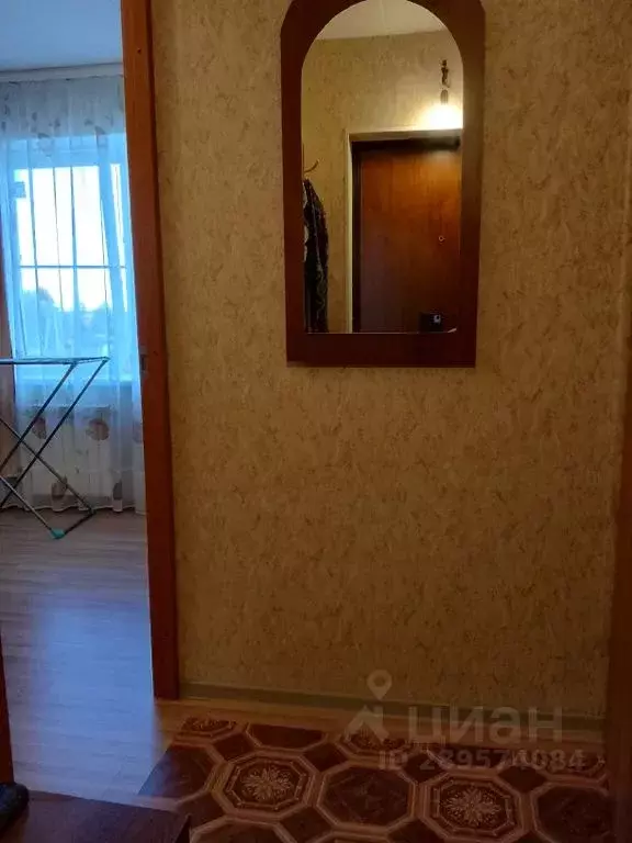 Студия Карелия, Лоухи пгт ул. Советская, 1А (30.0 м) - Фото 1