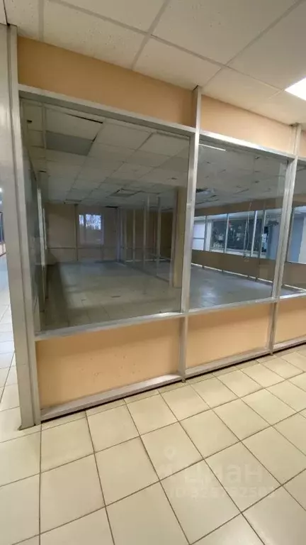 Торговая площадь в Псковская область, Дедовичи рп ул. Егорова, 10 (300 ... - Фото 2