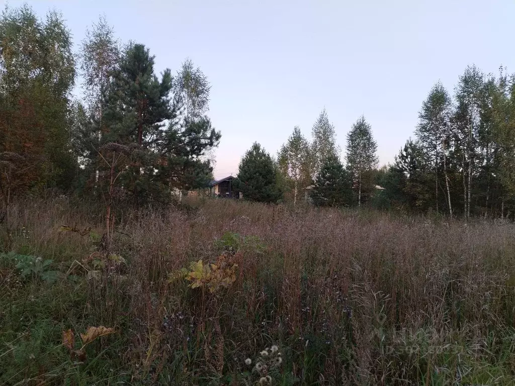 участок в пермский край, краснокамский городской округ, пос. ласьва . - Фото 1