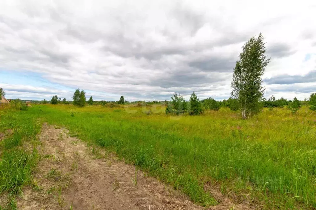 Участок в Тюменская область, Нижнетавдинский муниципальный округ, ... - Фото 1