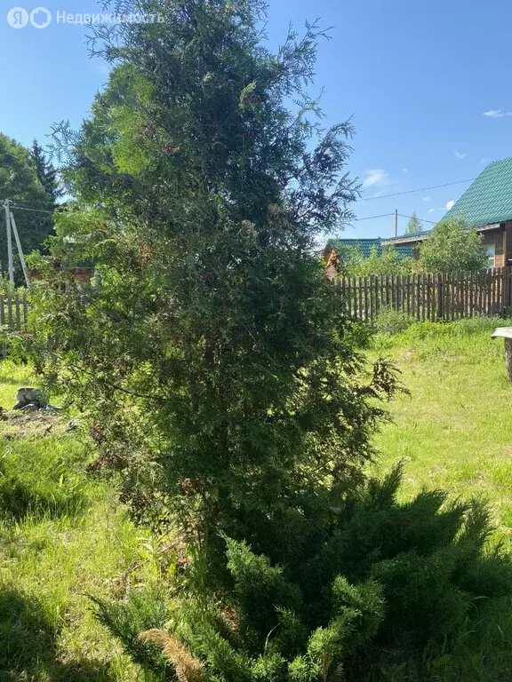 Дом в Новосибирск, микрорайон Тихий Центр (50 м) - Фото 1