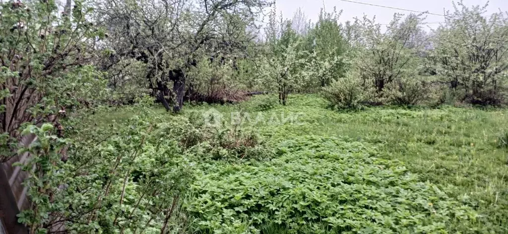 Участок в Карелия, Олонец ул. Звездиной, 6 (8.68 сот.) - Фото 1