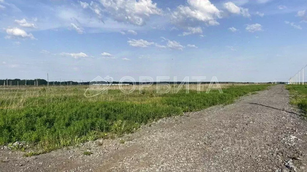 Участок в Тюменская область, Тюменский район, д. Малиновка ул. Южная ... - Фото 0