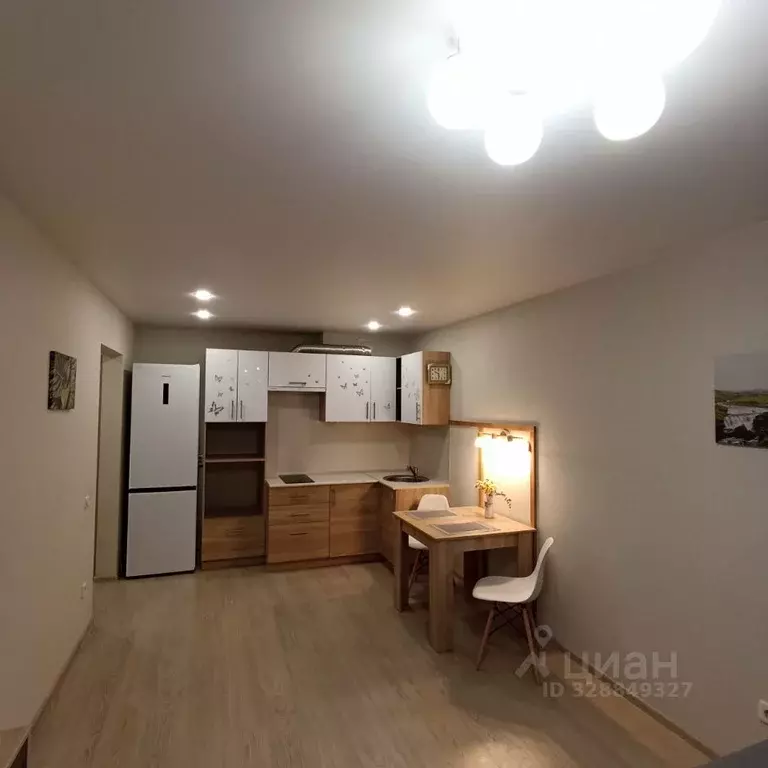 Студия Кировская область, Киров ул. Энтузиастов, 15к1 (28.0 м) - Фото 2