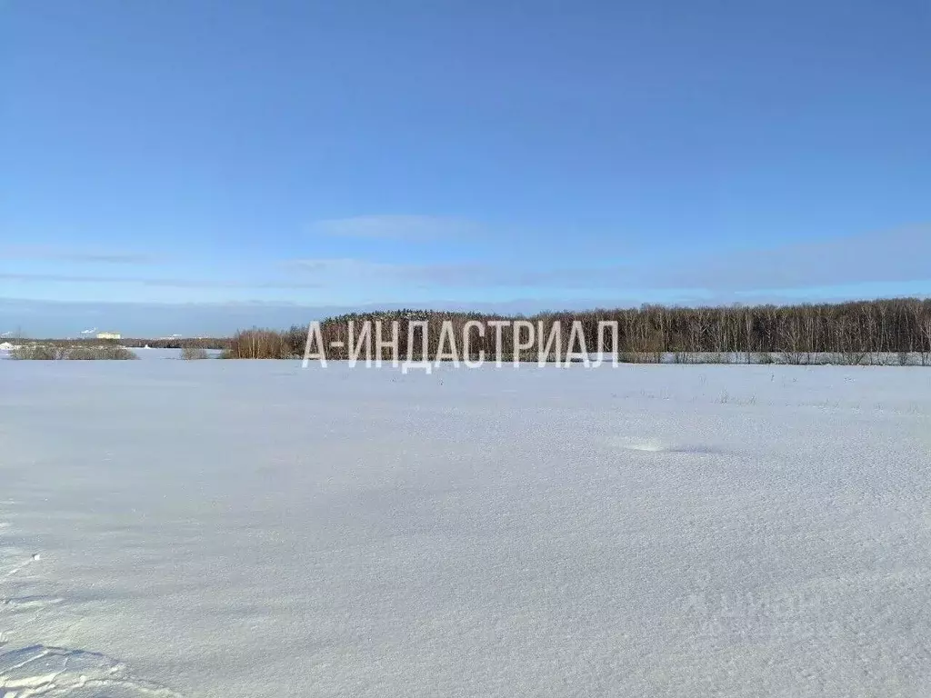 Участок в Московская область, Подольск городской округ, Лучинское СНТ ... - Фото 1