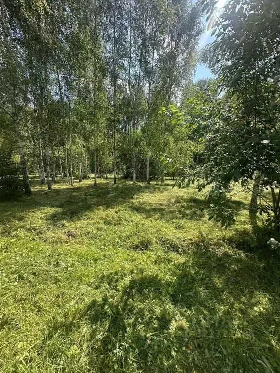 Участок в Московская область, Волоколамский муниципальный округ, ... - Фото 1