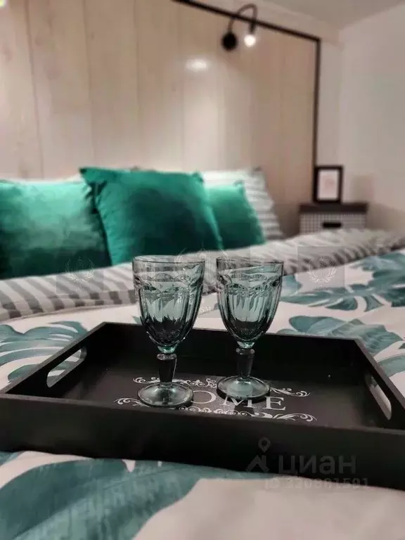 Студия Санкт-Петербург Литейный просп., 51 (19.3 м) - Фото 2