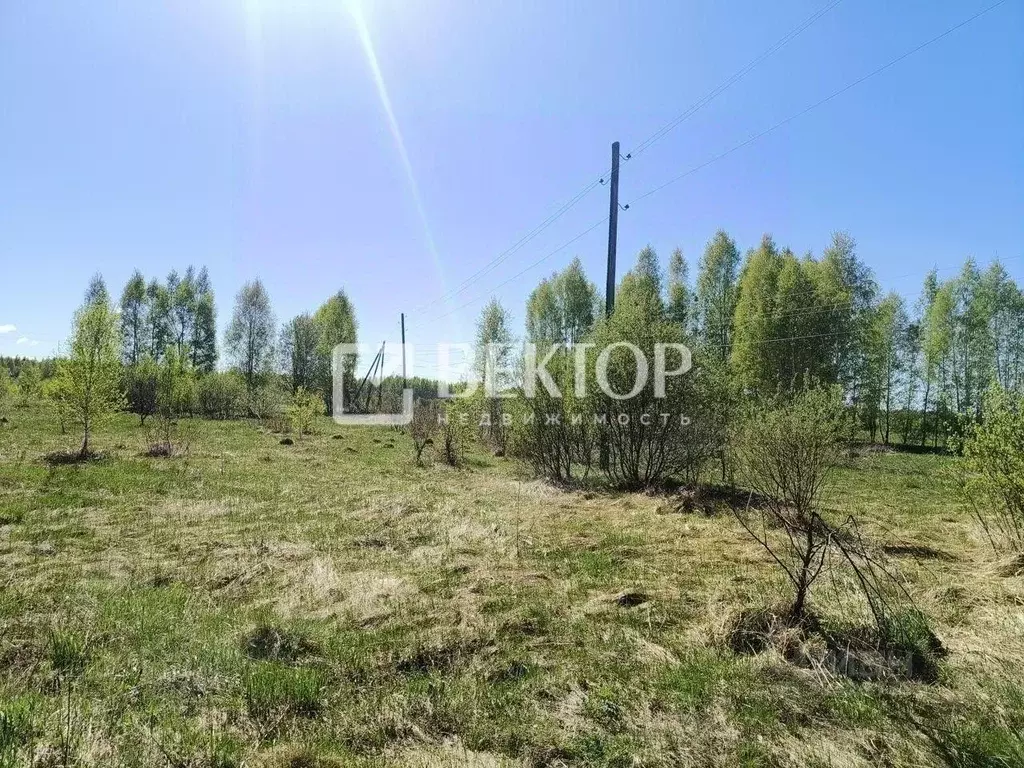 Участок в Ярославская область, Ярославский муниципальный округ, д. ... - Фото 1