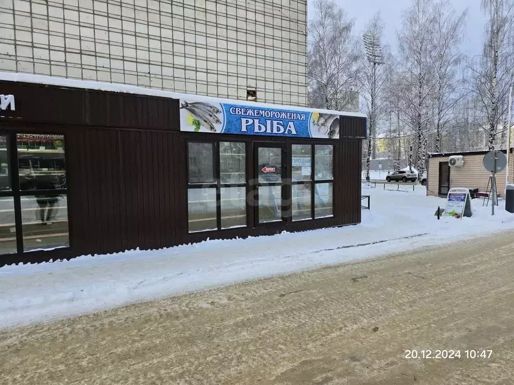 Торговая площадь в Коми, Сыктывкар ул. Куратова, 83 (15 м) - Фото 0