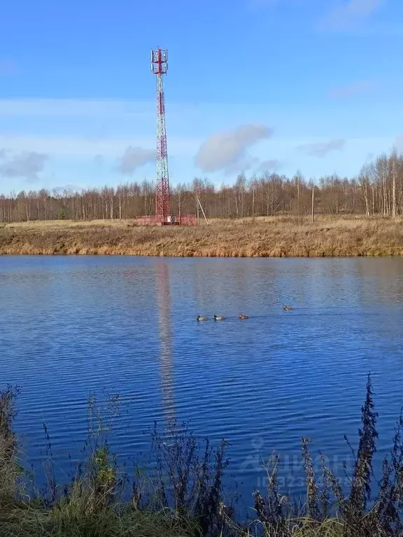 Дом в Владимирская область, Кольчугинский муниципальный округ, ... - Фото 2