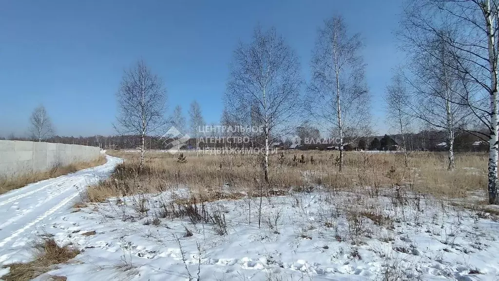 Участок в Рязанская область, Рязанский район, Мурминское с/пос, с. ... - Фото 2