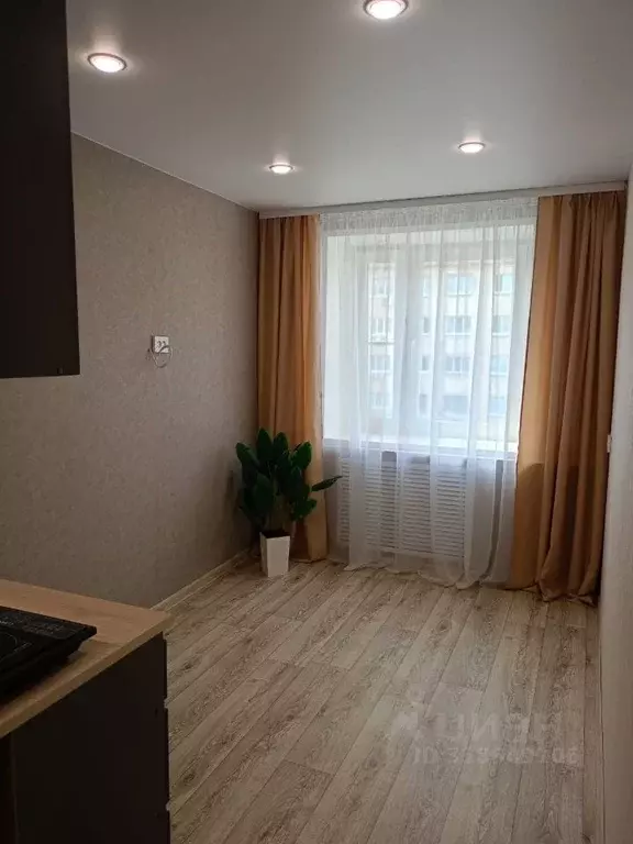 Студия Нижегородская область, Нижний Новгород просп. Ленина, 36А (13.0 ... - Фото 0