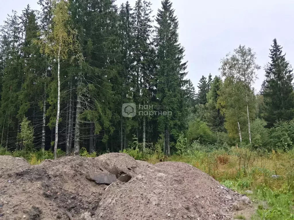 Участок в Ленинградская область, Всеволожский район, Агалатовское ... - Фото 2