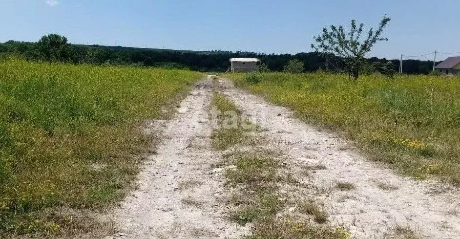 Участок в Краснодарский край, Новороссийск муниципальное образование, ... - Фото 1