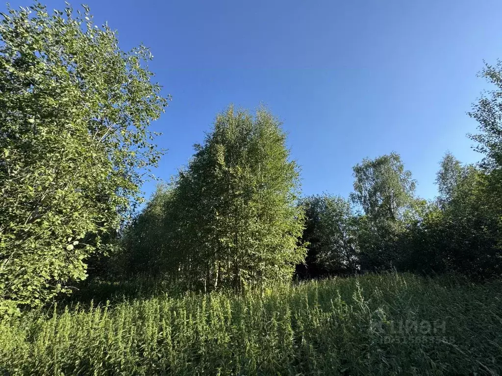 Участок в Карелия, Прионежский район, с. Заозерье Судостроительная ул. ... - Фото 0