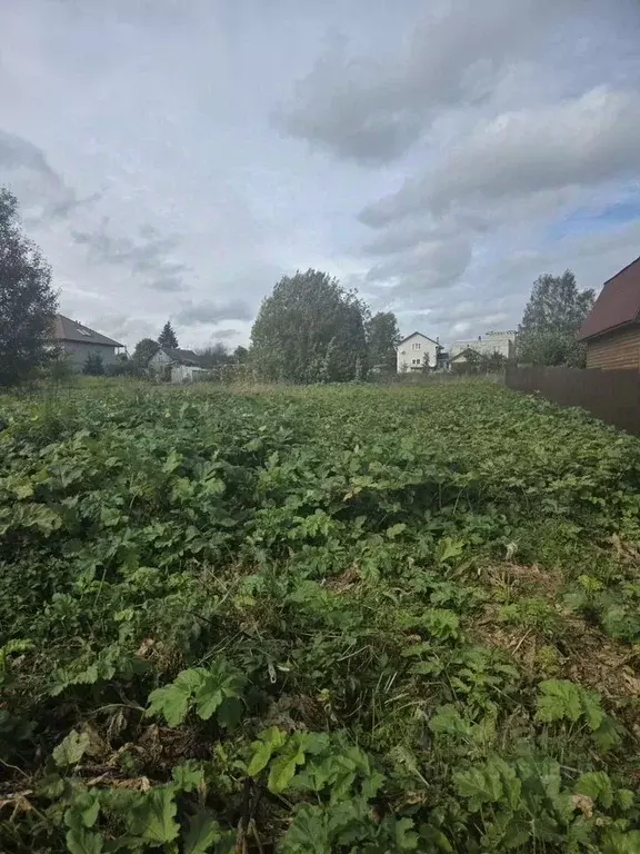 Участок в Ленинградская область, Гатчинский муниципальный округ, д. ... - Фото 2
